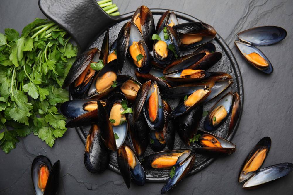 Moules de Bouchot à Saint-Malo