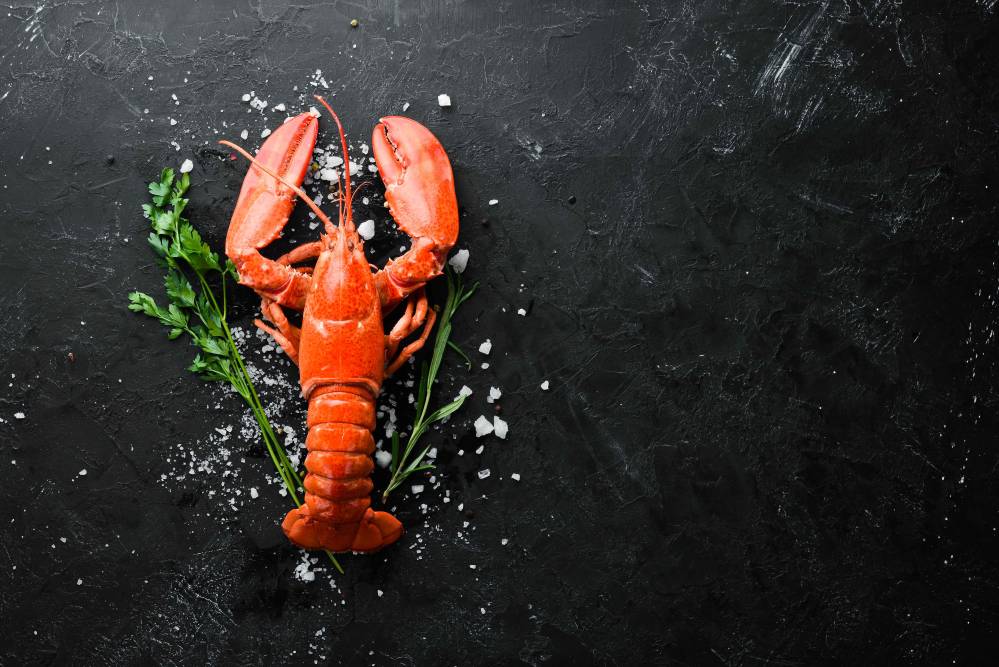 Ventes de Homards à Saint-Malo