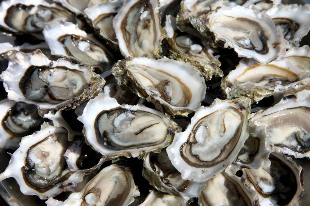Vente d'huîtres à Saint-Malo