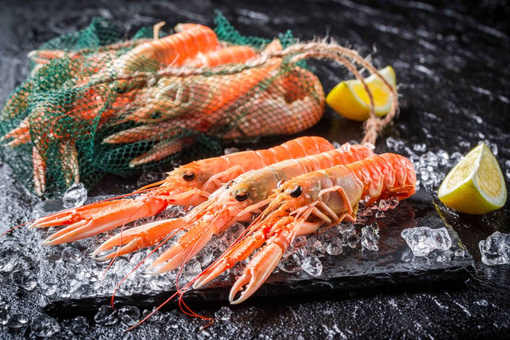 langoustines