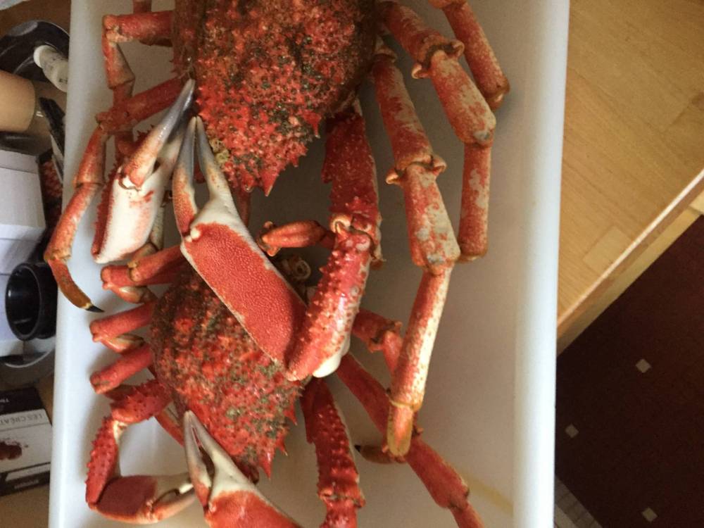 vente-crabe-tourteau-saint-malo