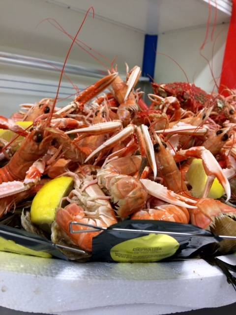 vente-bulots-coquillages-saint-malo