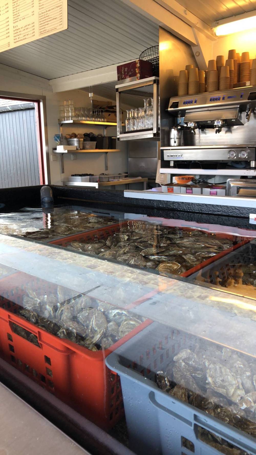 grande-variete-fruits-de-mer-saint-malo