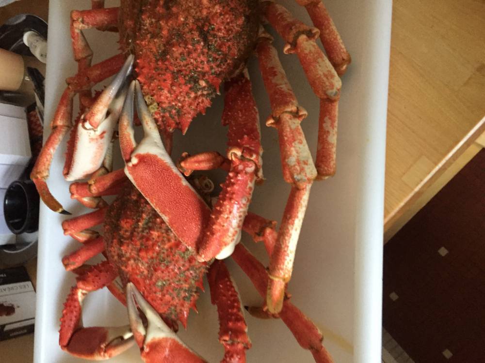 plateau-de-fruits-de-mer-frais-saint-malo